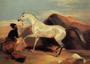 Sir Edwin Landseer Arab stable ion France oil painting artist